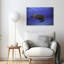 Swimming Sea Turtle Peaceful Serene Turtle Nature Ocean Wall Art Print 1 Piece Wrapped Canvas Wall Art-1000898477