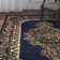 Arkin Performance Floral Indoor Rug
