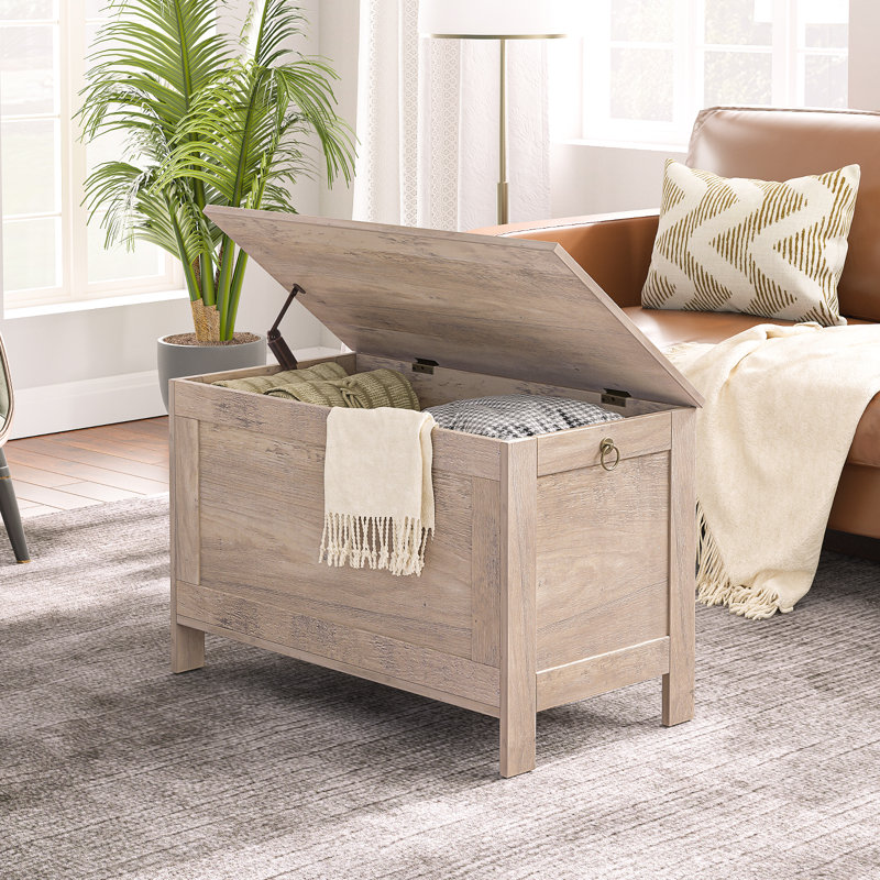 Val Blanket Storage Chest with Flip Top, Greige