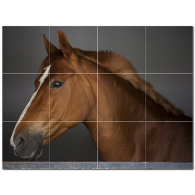Murale en céramique satinée cheval photo 12 po x 12 po