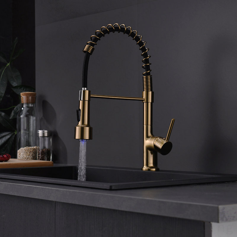 Robinet d'évier de cuisine à poignée simple avec douchette extractible