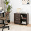 Joori 80 cm W 3 -Drawer Filing Cabinet-949196283