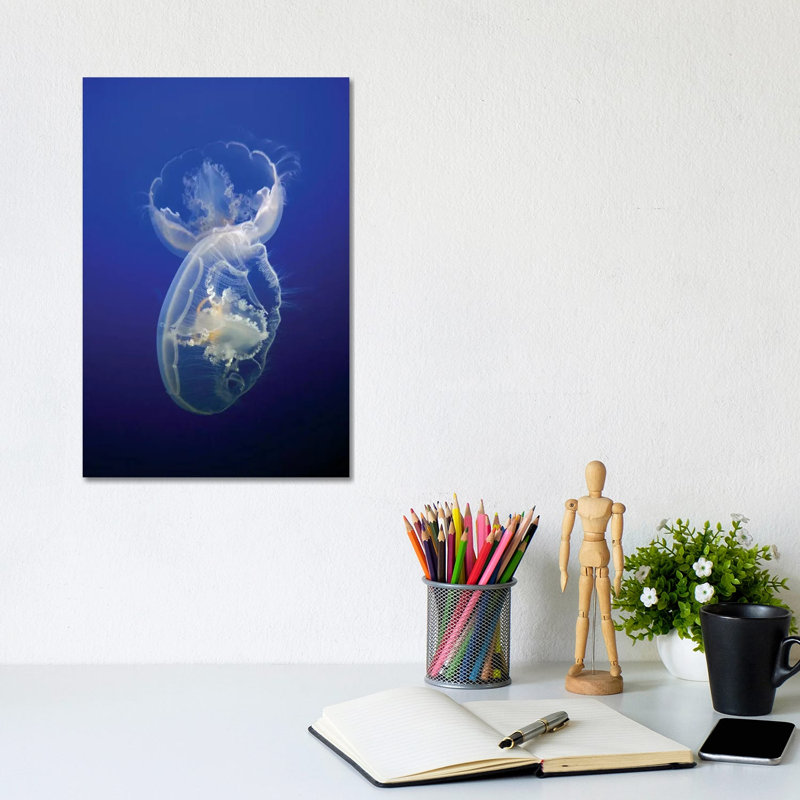 Moon Jelly Pair In Aquarium, Distributed Worldwide by Hiroya Minakuchi - Wrapped Canvas Print, 20.32 cm H x 30.48 cm W