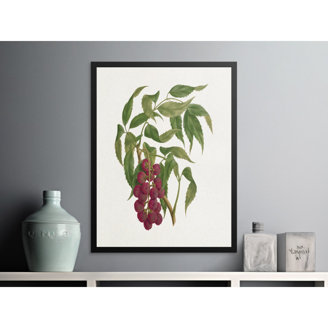 No Frame Print
