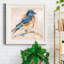 Oiseau Variété III, ensemble de 1 reproductions carrées sur toile-62719054-62719058