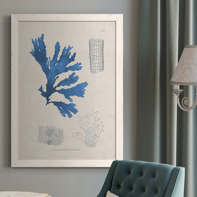 Saraphina " Blue Marine Algae VIII "