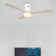 Amoni 52'' Ceiling Fan with LED Lights