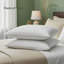 MHG Living Ultra Striped Pillow – Breathable Microfibre Cover Bed Pillows-931172160-931172162