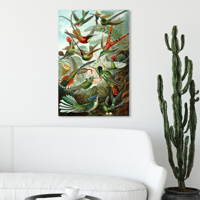 «Bird Study» par Ernst Haeckel - peinture sur toile tendue, H 54 po x l 36 po