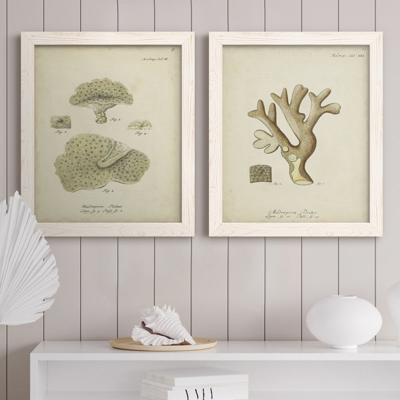 Toile encadrée écrue corail IPremium - prête à être accrochée, H 24 po x l 36 po x P 1,5 po, Toile blanche encadrée