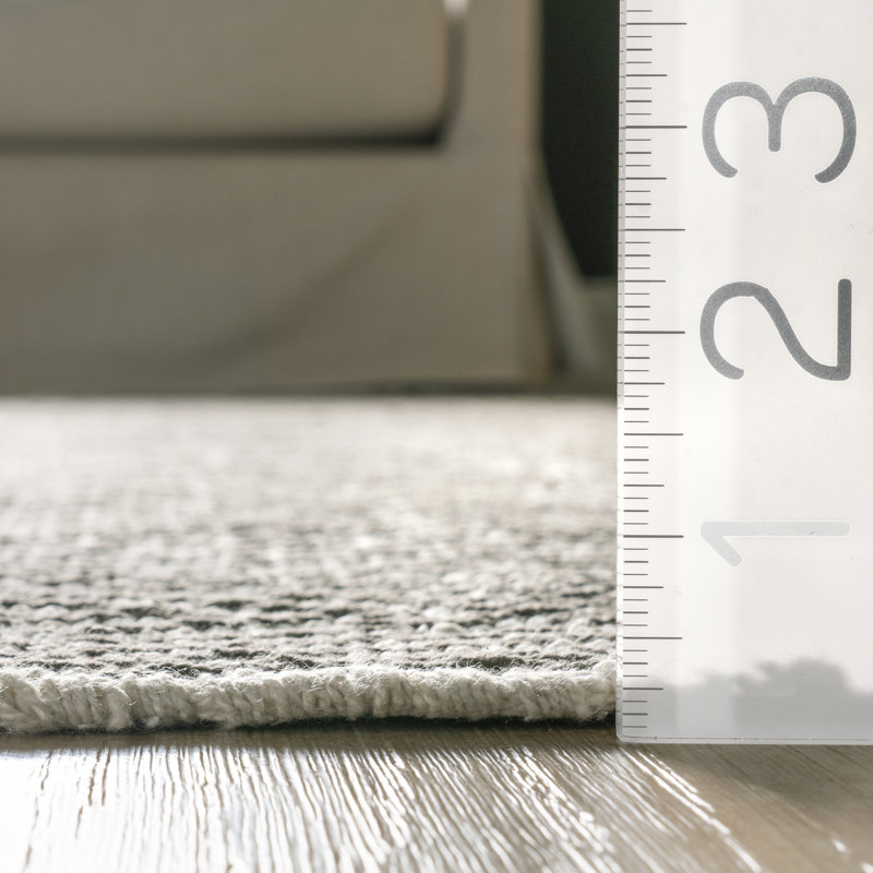 Boise Cotton Striped Indoor Rug, Rectangle 3' x 5'