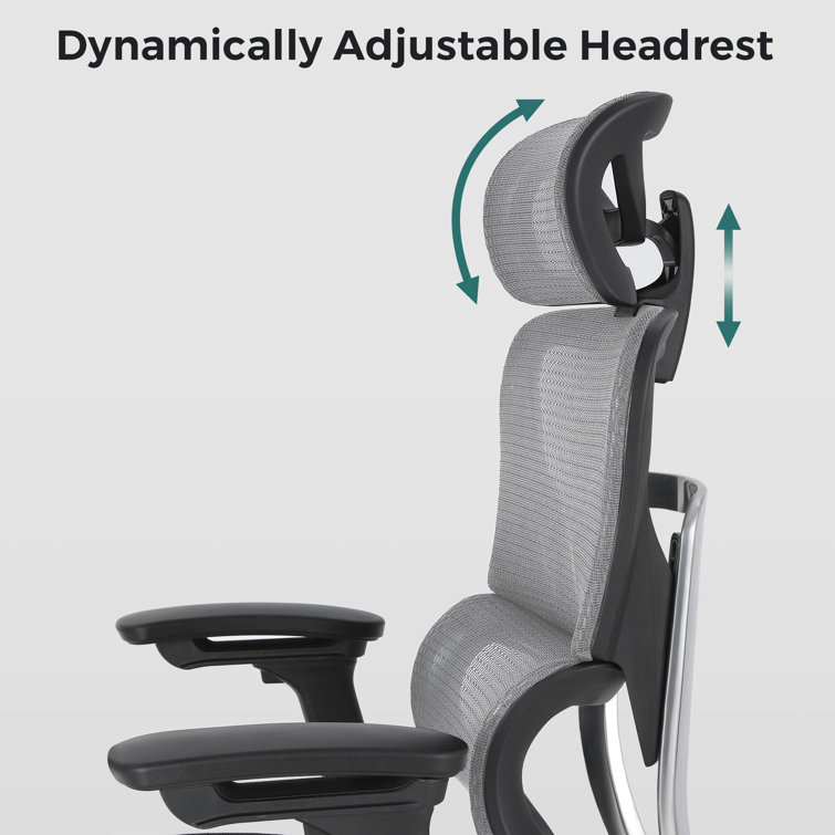OdinLake Ergo Plus 743 - Ergonomic Chair with Adjustable Backrest Black