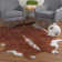 Tapis brun Albury