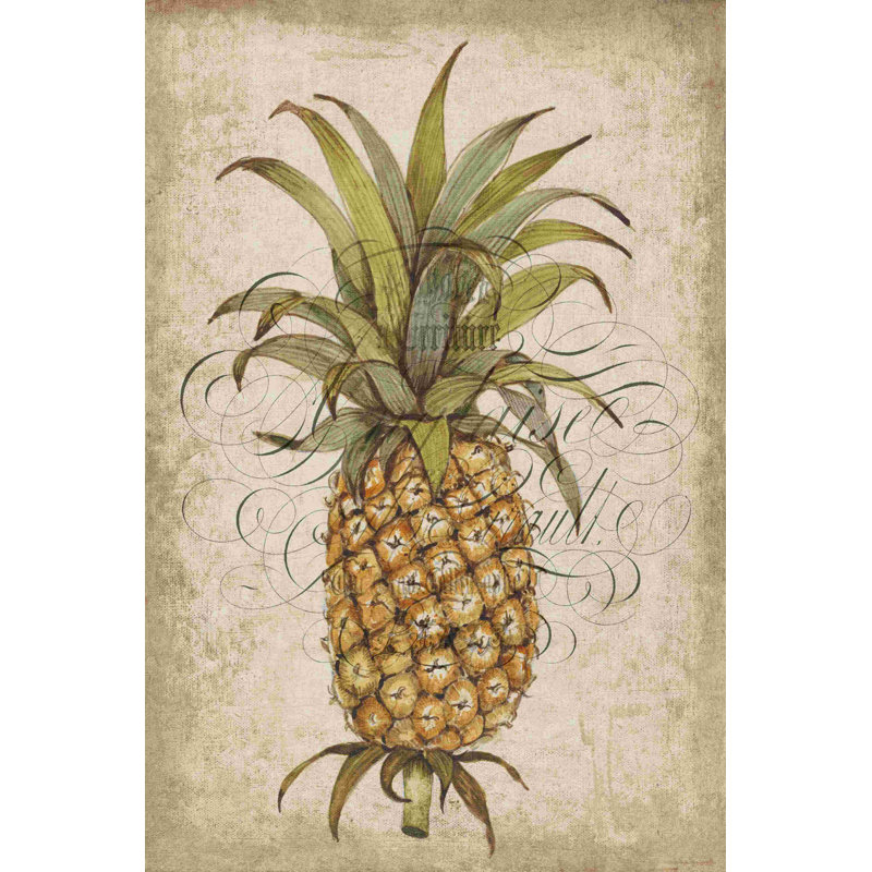 " Pineapple Study II " by Timothy O' Toole Painting Print, 18" H x 12" W  