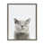 Gray Frame selected
