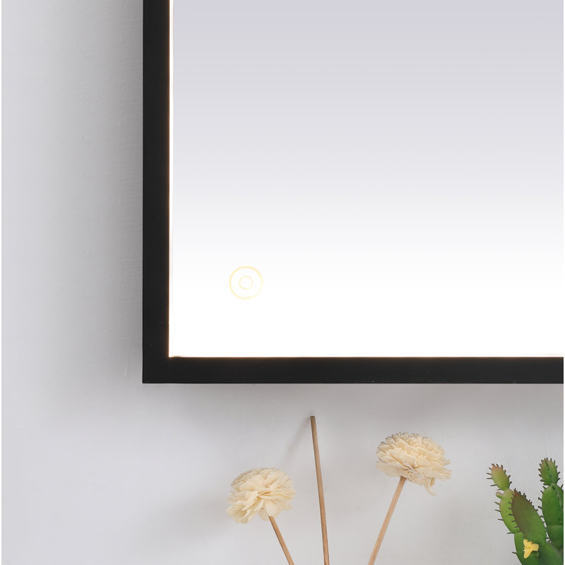 Miroir Piche, 30 po x 48 po, Noir