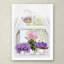 «Window Flowers» par The Macneil Studio, reproduction sur toile-21938681