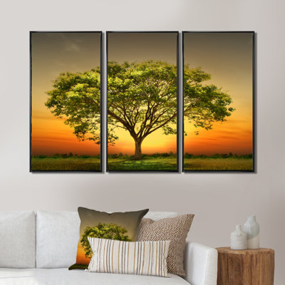 Autumn Terrai avec arbres et rivière - ensemble d'art mural sur toile encadré paysage