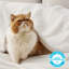 Bedsure Fitted Sheet Deep - Bed Sheets Extra Deep Pocket made of Soft Brushed Microfiber for Bed-1928524794-1928524778