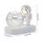 Desktop Night Light