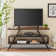 Pravinn TV Stand for TVs up to 50"