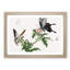 Butterflies on Pink Thistles by Morimoto Toko - Picture Frame Art Print-55680602-55680603