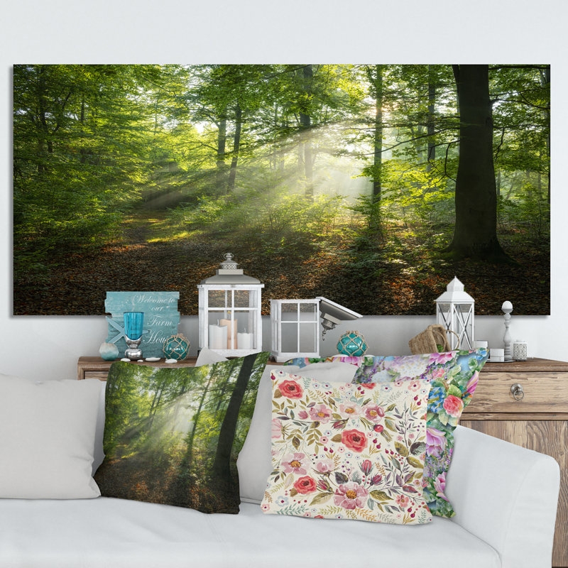 «Sunny Morning Magic Forest II», photographie sur toile, L 12 po x H 8 po, Toile tendue