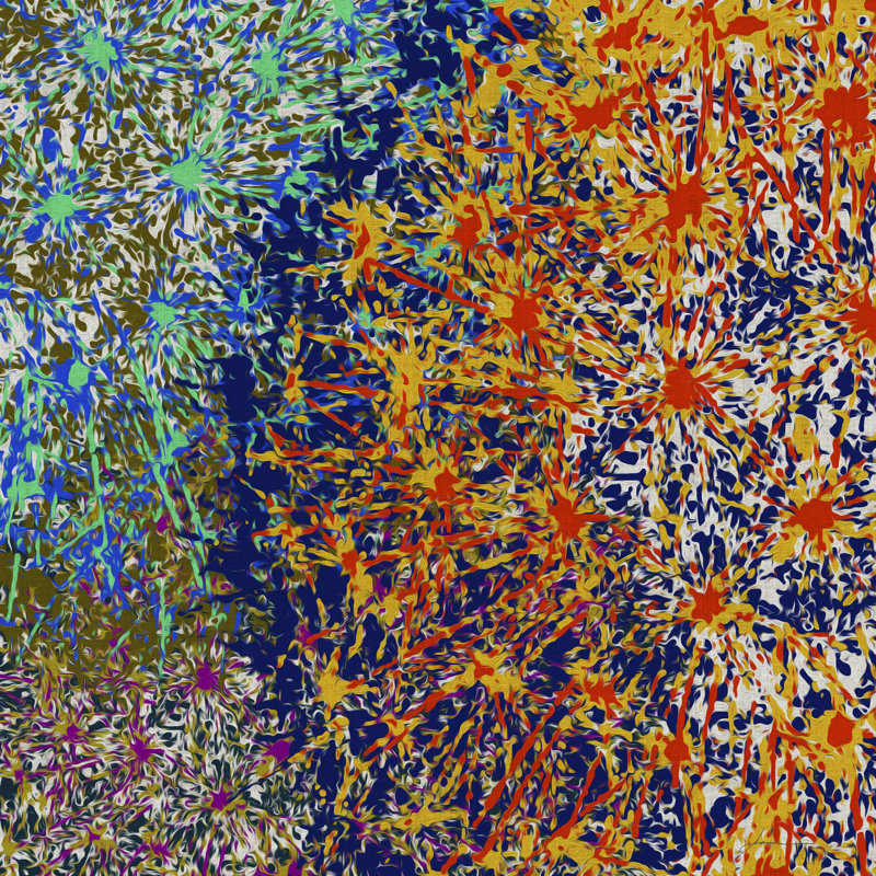 Profusion I by James Burghardt - Wrapped Canvas Print, 51cm H x 51cm W