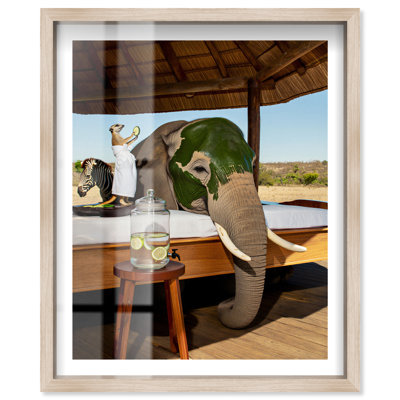 «Savannah Skin Care Shadowbox Print Animal Glam» par Notoriart, cadre en chêne naturel, H 37 po x l 31 po
