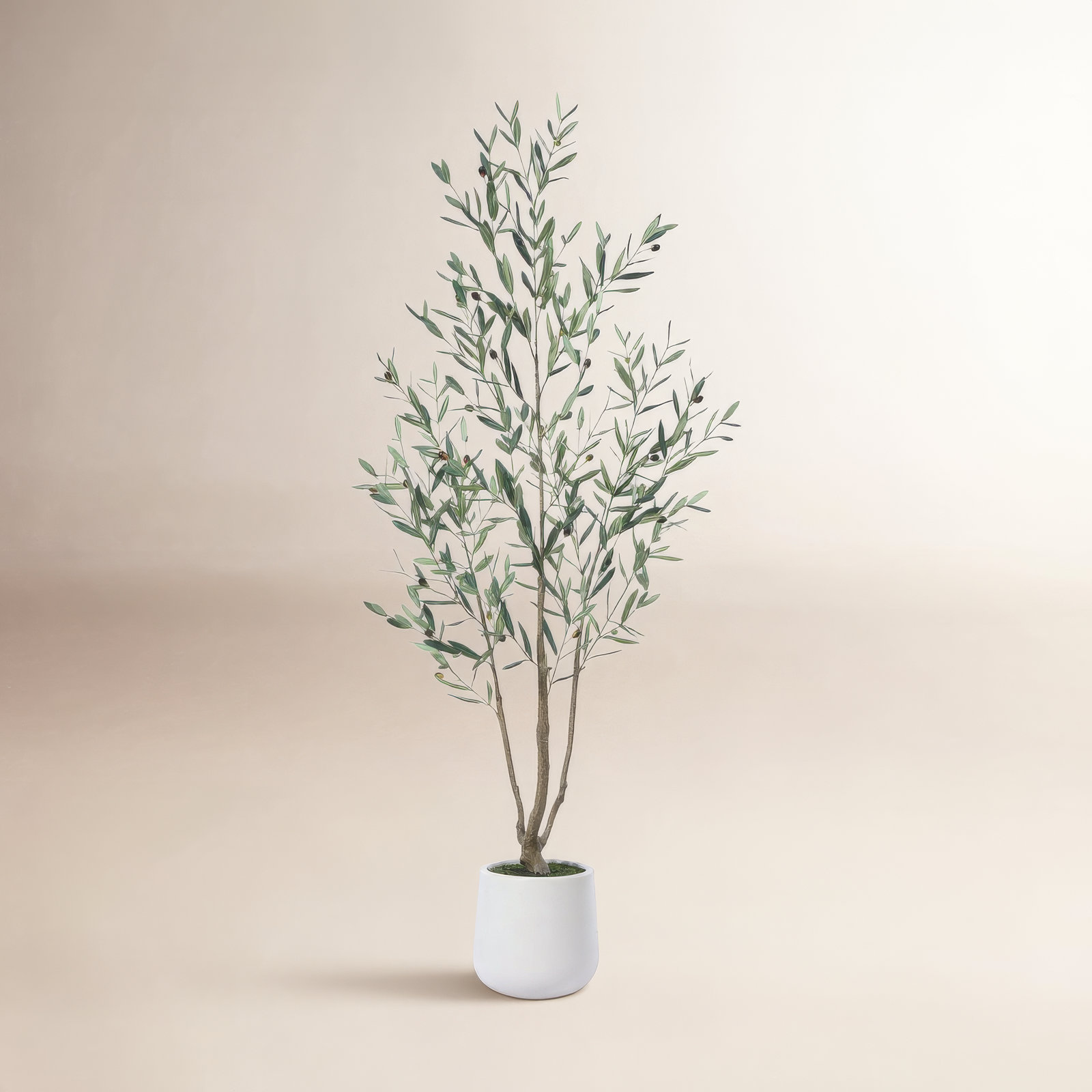 Adcock 84" Olive Tree in Pot, 72" H x 24" W x 24" D
