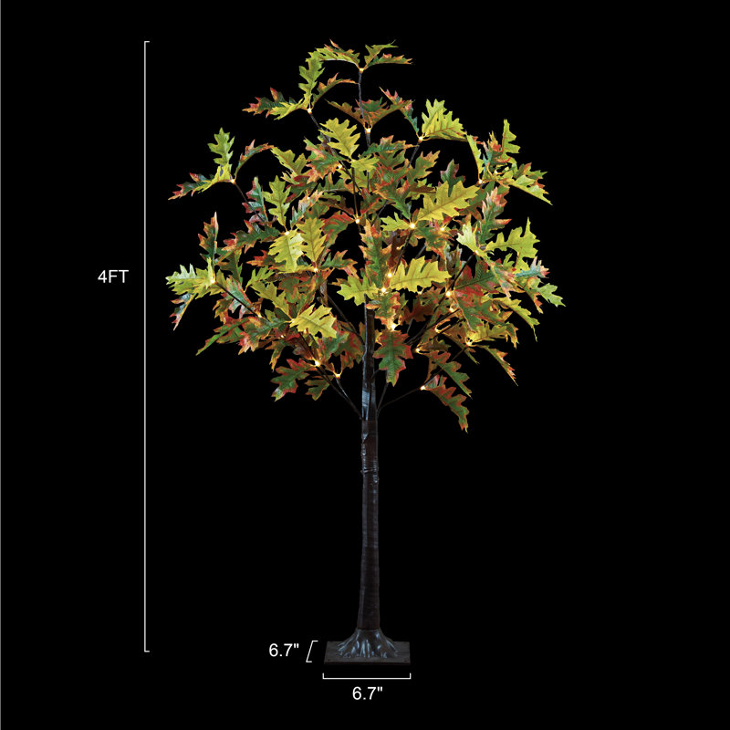 Chêne éclairé avec branches et branches