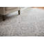 Tapis ivoire floral et botanique Brockington-563806896