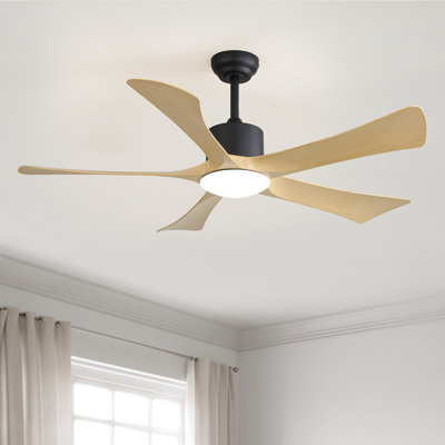 Ventilateur de plafond d'intérieur de 52 po avec lumière DEL et télécommande, ventilateurs de plafond modernes à 5 pales pour le salon Ferrete