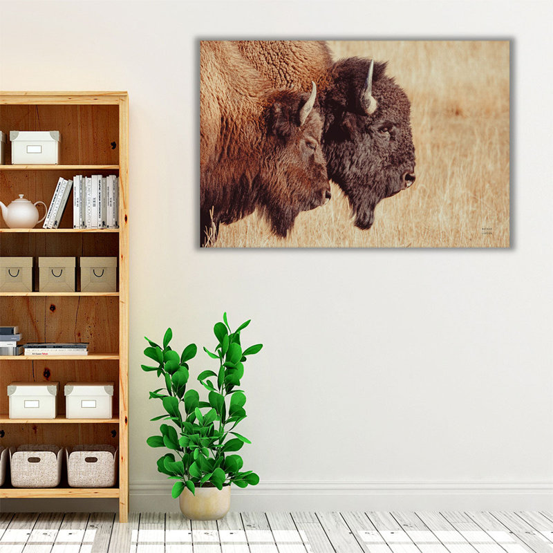 Bison Pair - Canvas Print Wall Art, 32" H x 48" W