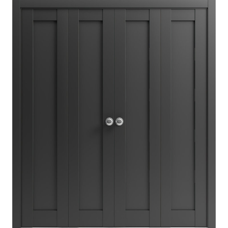 Portes coulissantes doubles pour garde-robe coulissante | Quadro 4111 noir mat | Ensemble de quincaillerie de moulures robustes à moulures | Portes de garde-robe de chambre en bois massif