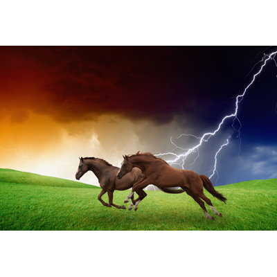 Perrytown Two Horses, Lightning Storm 1 Piece Wrapped Canvas Wall Art