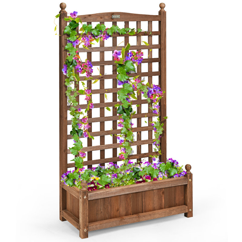 Jardinière surélevée avec treillis Bragg, H 47 po x l 25 po x P 25 po, 1