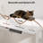 Home Office Height Adjustable Standing Desk With Built-in Power Outlet-1213942073