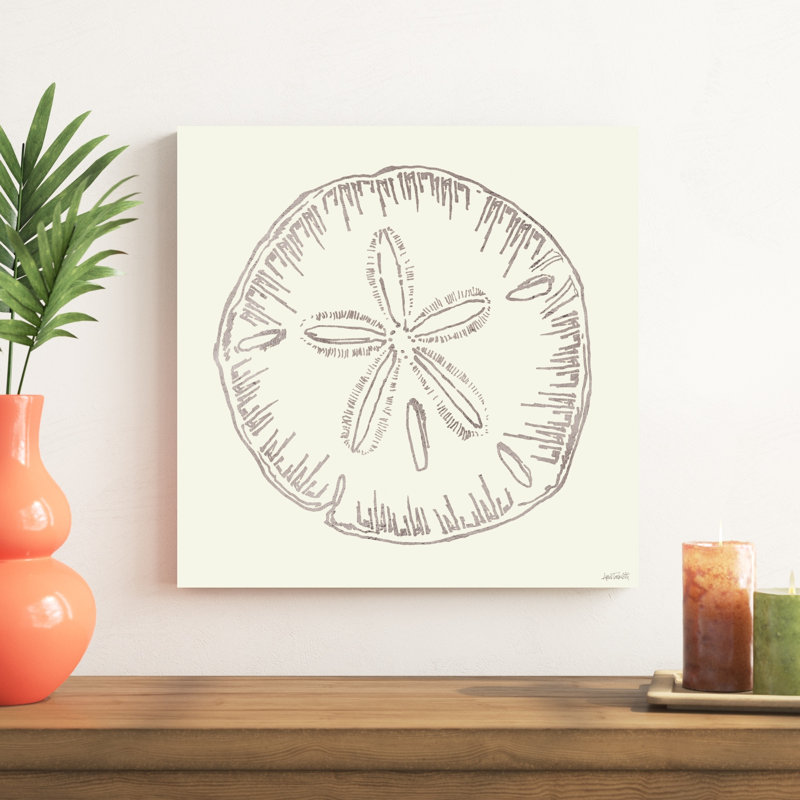 Croquis de coquillages côtiers iv argent, H 20 po x l 20 po