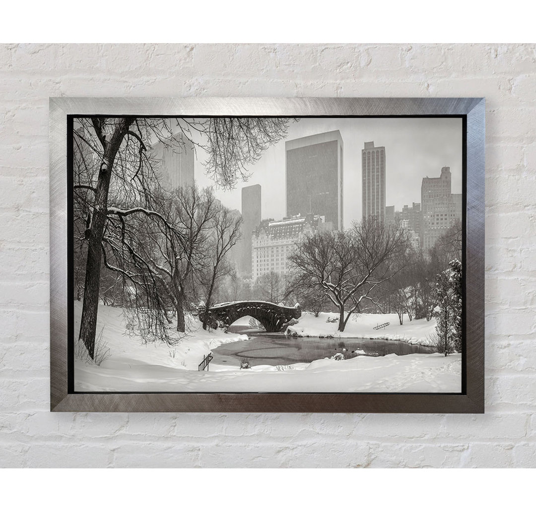 Winter Snow In Central Park - Einzelne Bilderrahmen Kunstdrucke