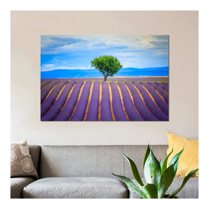 Jim Nilsen - Wrapped Canvas Print, 66.04 cm H x 45.72 cm W x 1.91 cm D