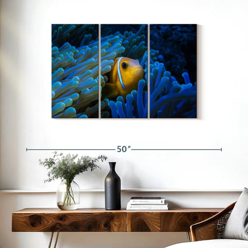 Brampt Lurking Clownfish, 24" H x 38" W