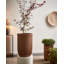 Pot Planter-943960873