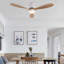 Ventilateur de plafond Jameison