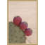 «Modern Close Up Cactus» par Stephanie Klatt, reproduction d'art sur toile encadrée-228167828