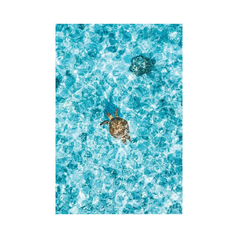 Aerial Great Barrier Reef Island Turtle by James Vodicka - Wrapped Canvas Gallery-Wrapped Canvas Giclée