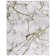 Robbs Abstract Gray/Green Area Rug