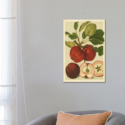 Red Veli Apples - Wrapped Canvas Print