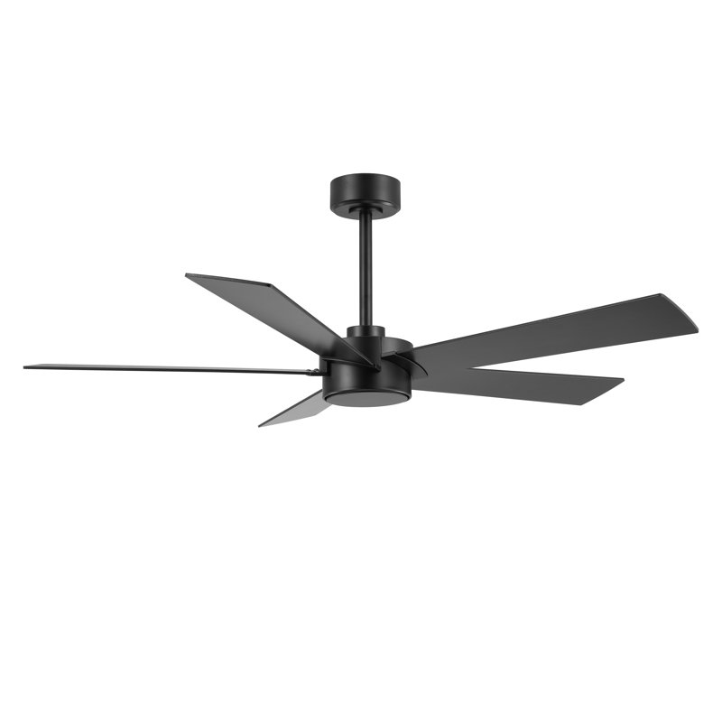 54 In 5 Plywood Blades Indoor Ceiling Fan Remote Control Noiseless Reversible DC Motor, Black, Black, Black