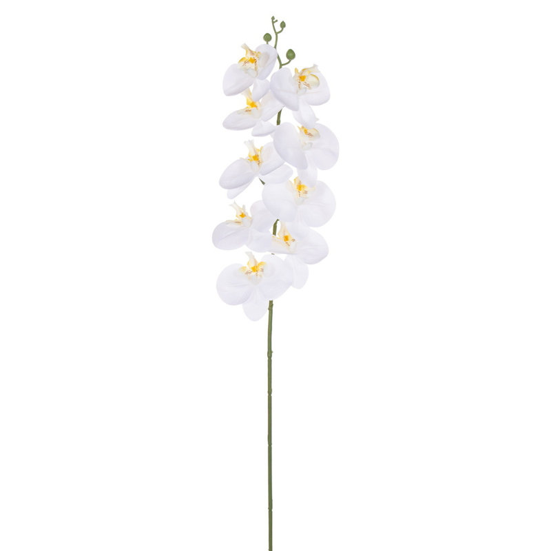 Tige d'orchidée 35 po, Blanc